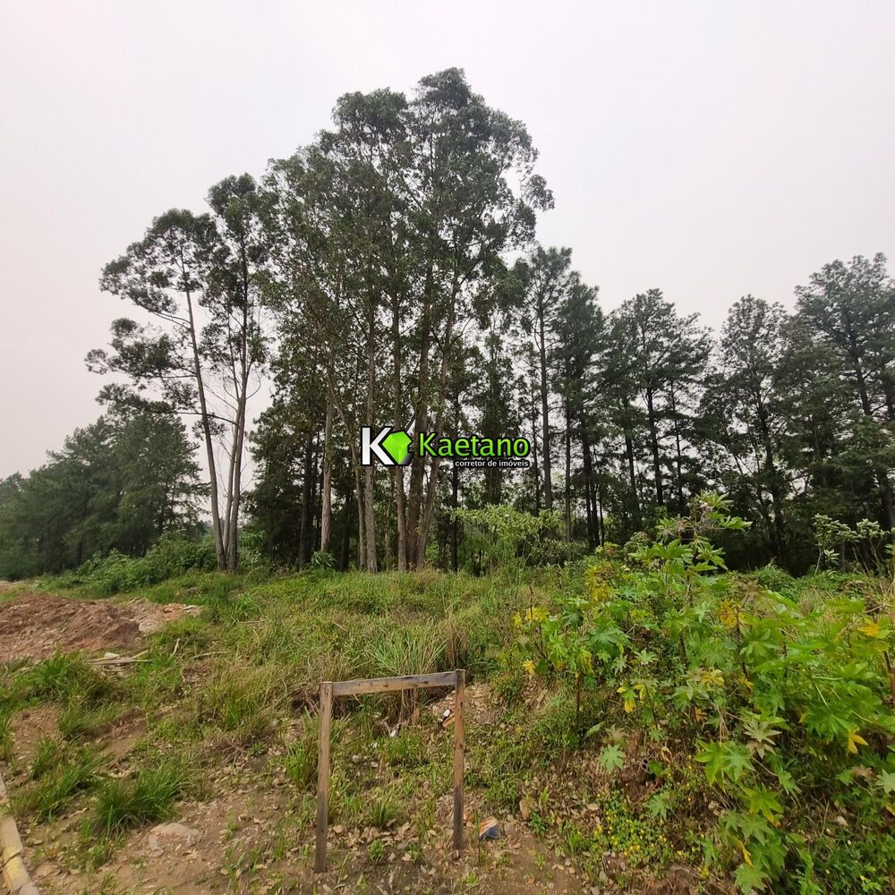 Terreno, 7 hectares - Foto 10
