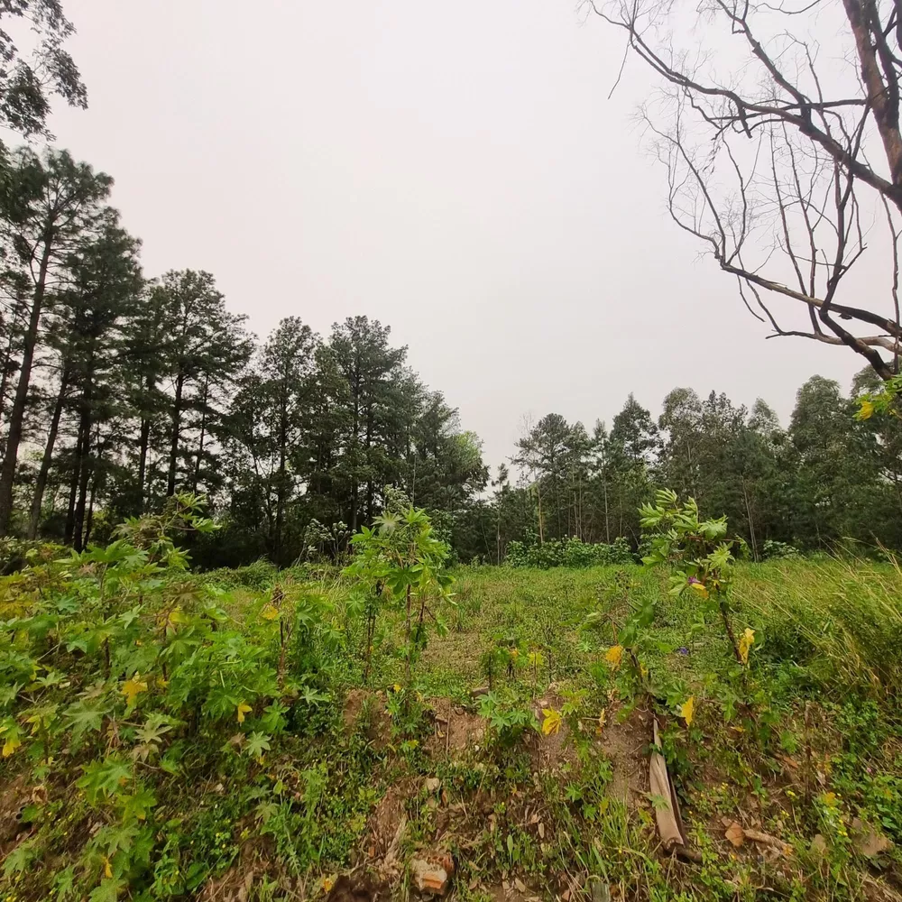 Terreno, 7 hectares - Foto 1