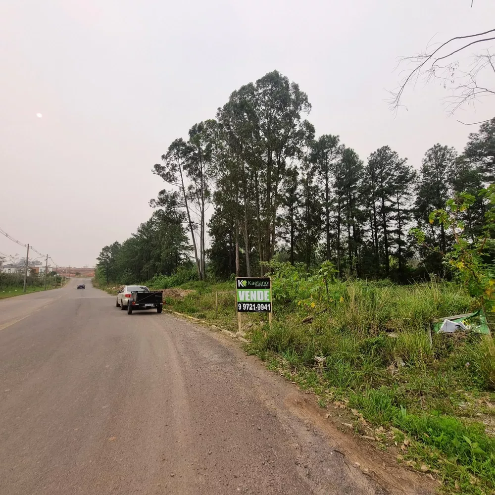 Terreno, 7 hectares - Foto 3