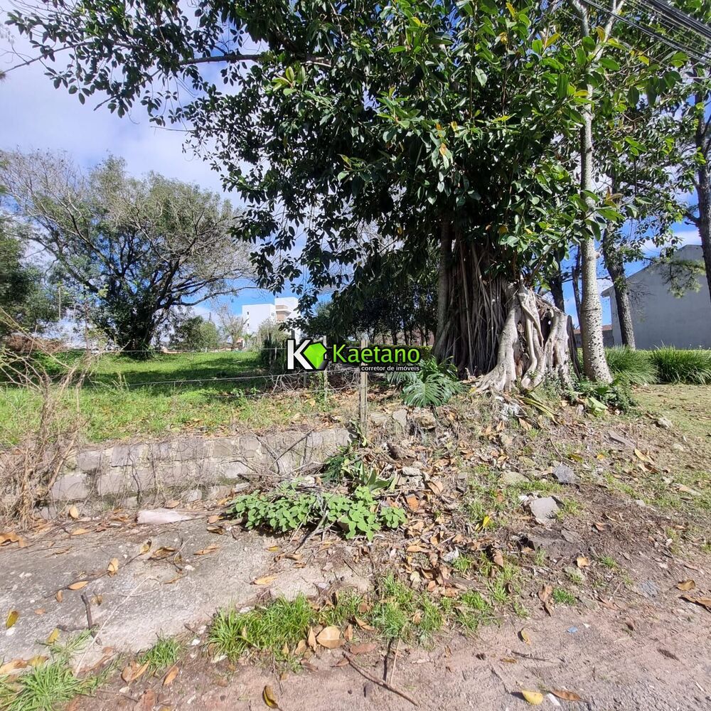 Terreno, 622 m² - Foto 1