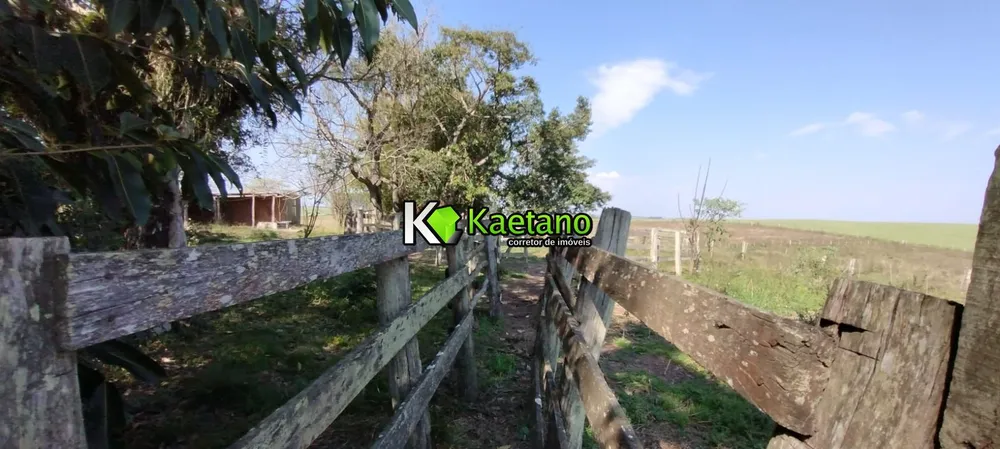 Chácara, 30 hectares - Foto 14