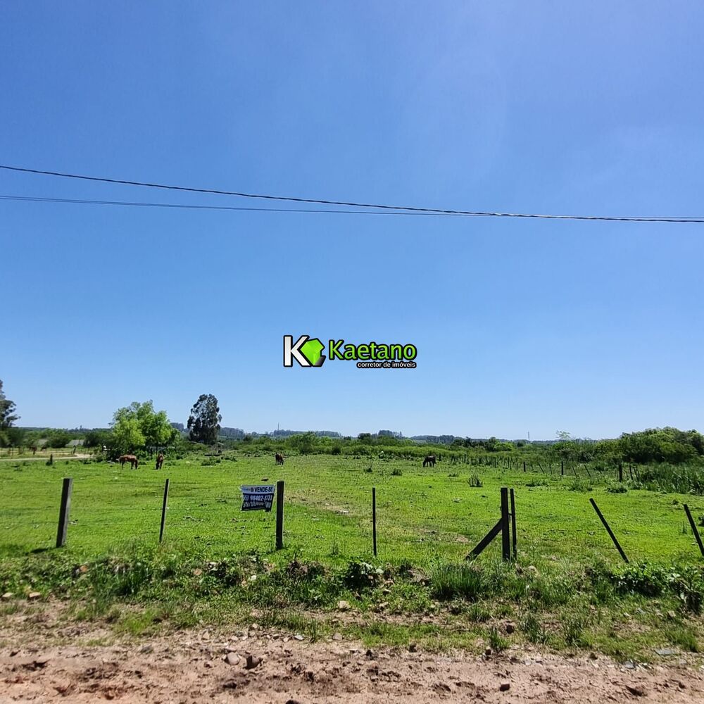 Terreno, 4 hectares - Foto 1