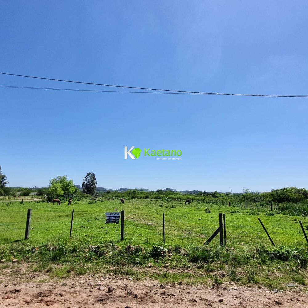 Terreno, 4 hectares - Foto 5