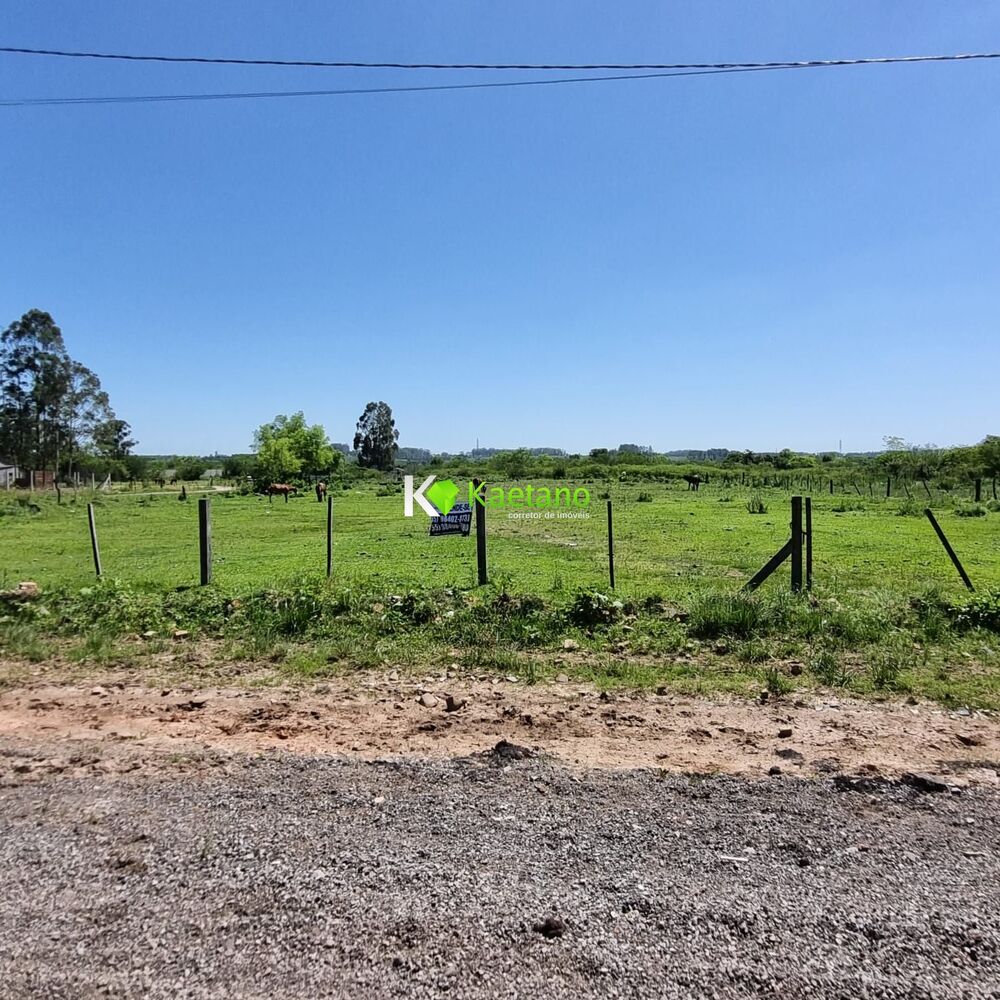 Terreno, 4 hectares - Foto 6