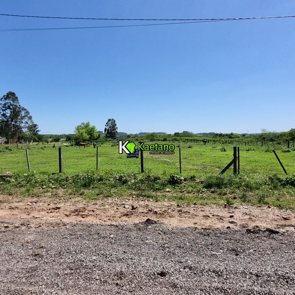 Terreno, 4 hectares - Foto 8