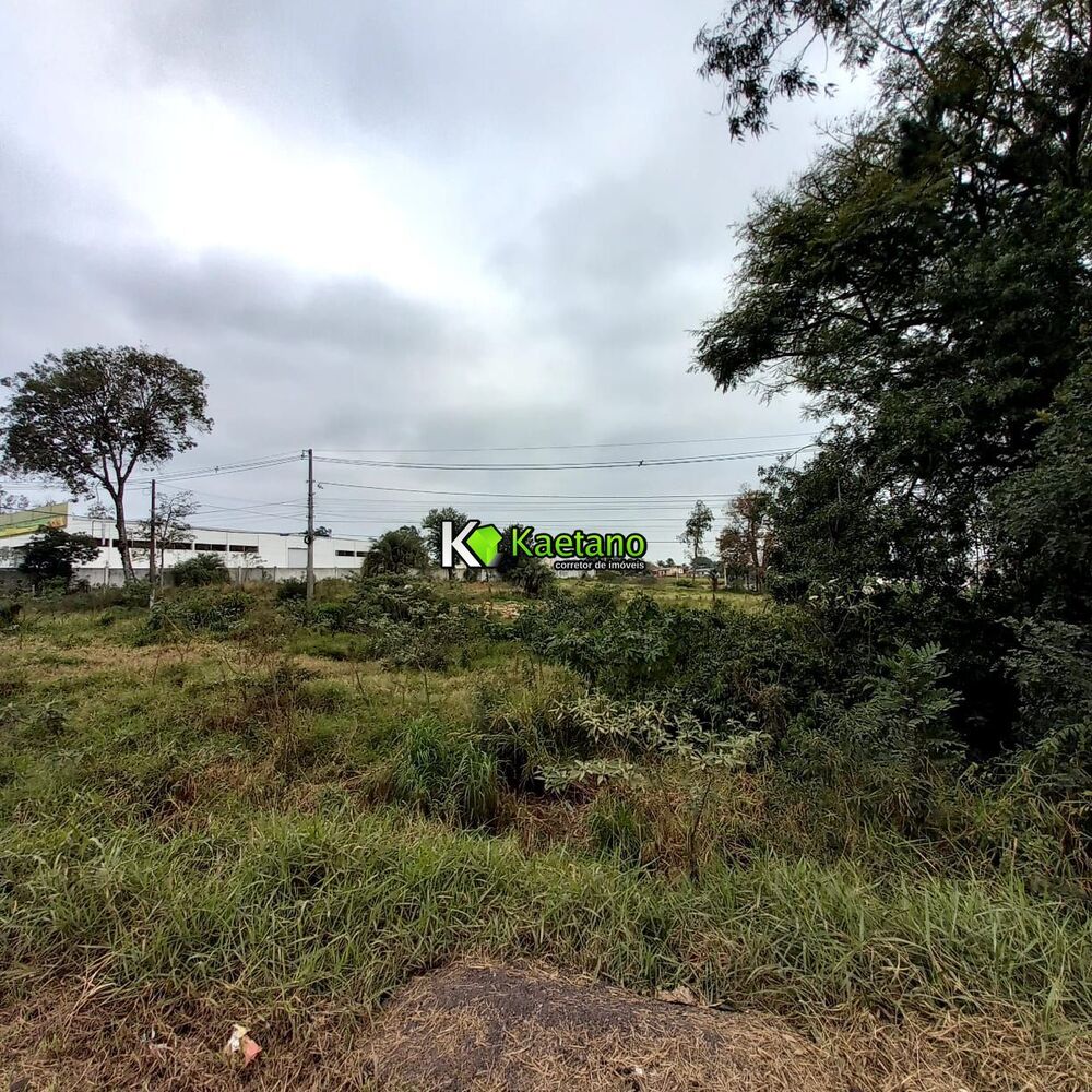 Loteamento e Condomínio, 8790 m² - Foto 1
