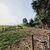 Chácara, 3 quartos, 2 hectares - Foto 4