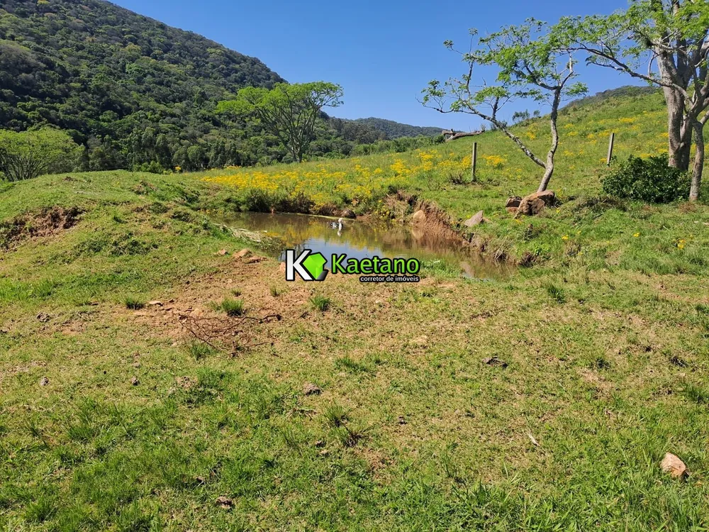 Chácara, 1 quarto, 4 hectares - Foto 6