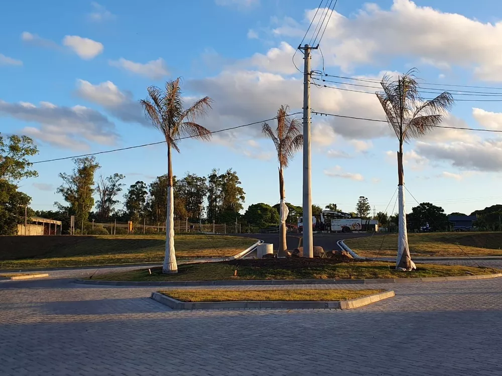 Terreno, 320 m² - Foto 3