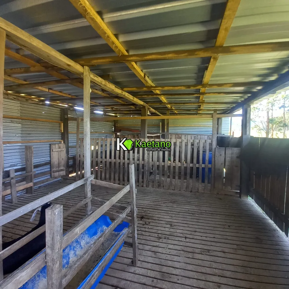 Chácara, 2 quartos, 2 hectares - Foto 31