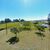 Chácara, 2 quartos, 2 hectares - Foto 7
