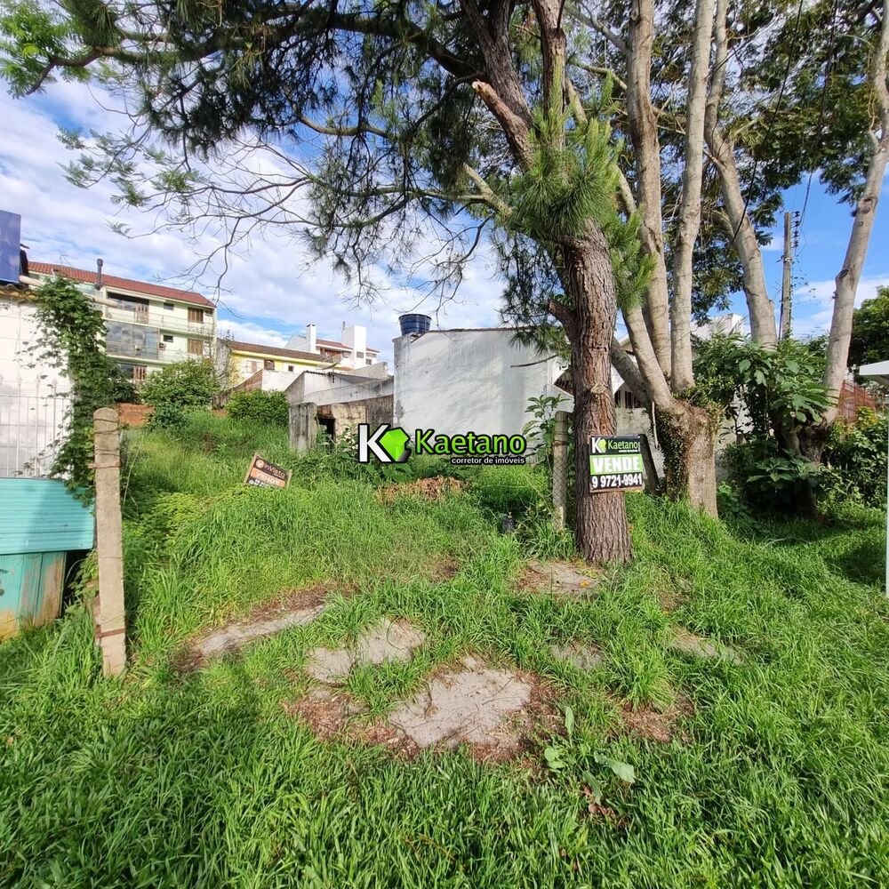 Terreno, 300 m² - Foto 2