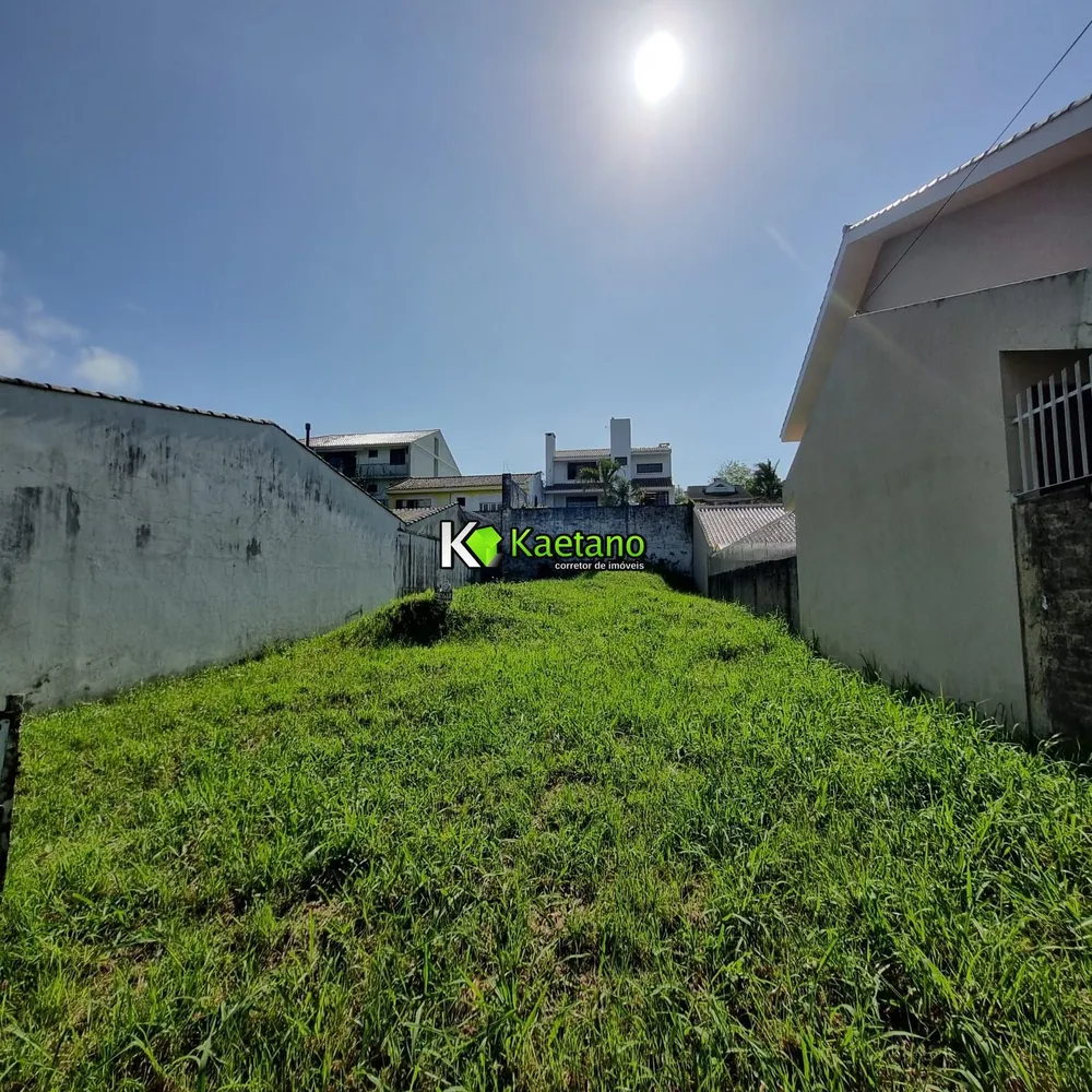 Terreno, 300 m² - Foto 5