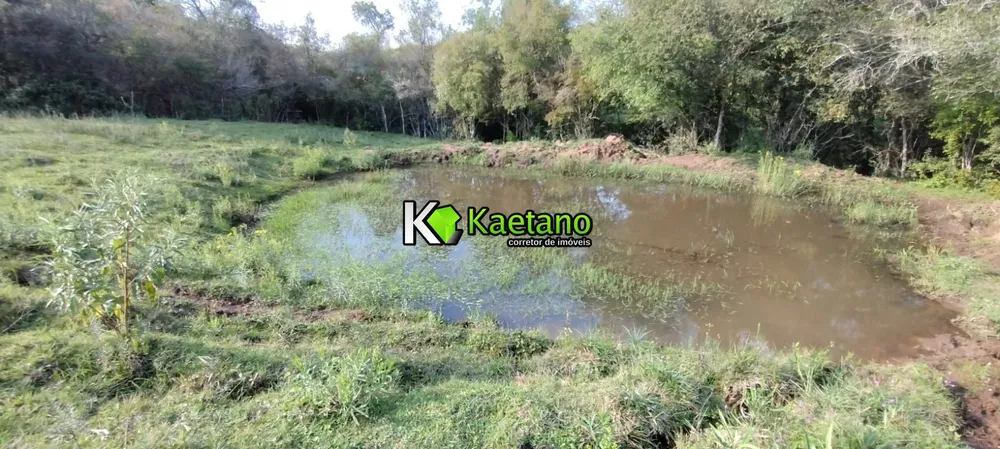 Terreno, 5 hectares - Foto 7