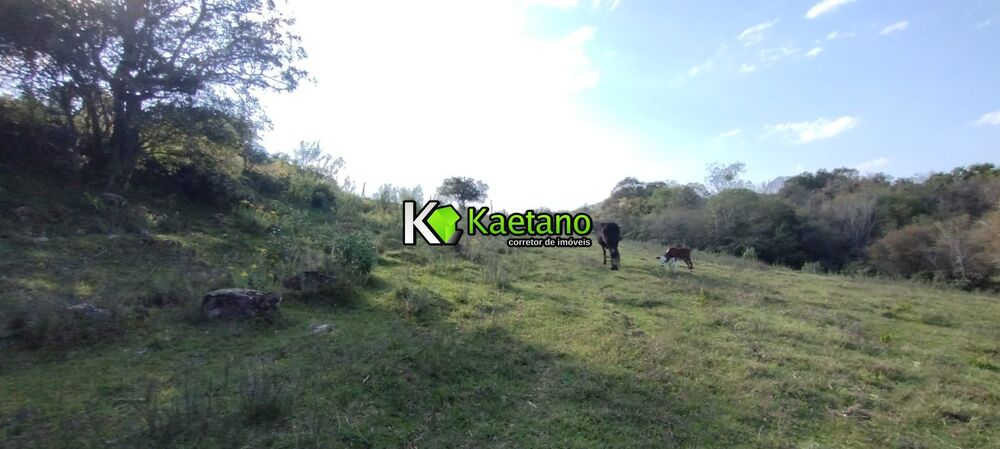 Terreno, 5 hectares - Foto 3