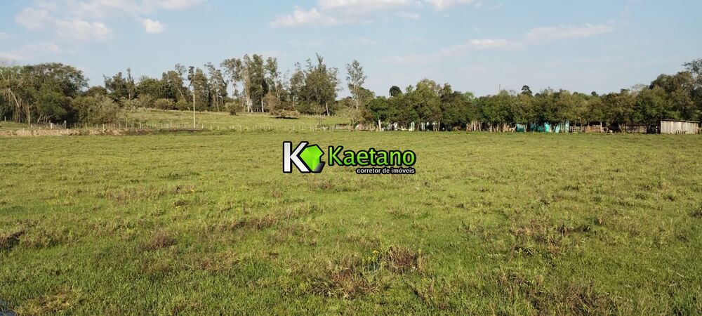 Terreno, 5 hectares - Foto 4