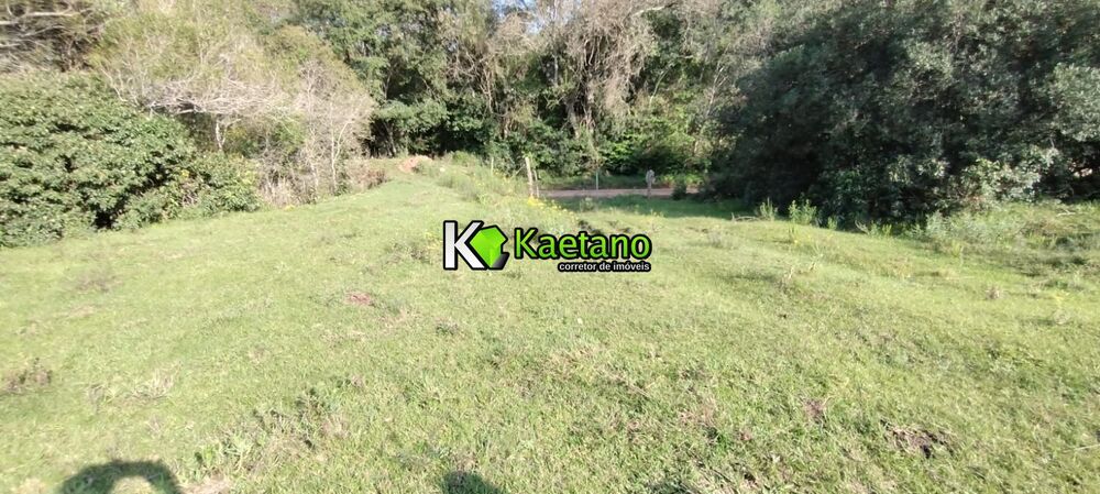 Terreno, 5 hectares - Foto 2