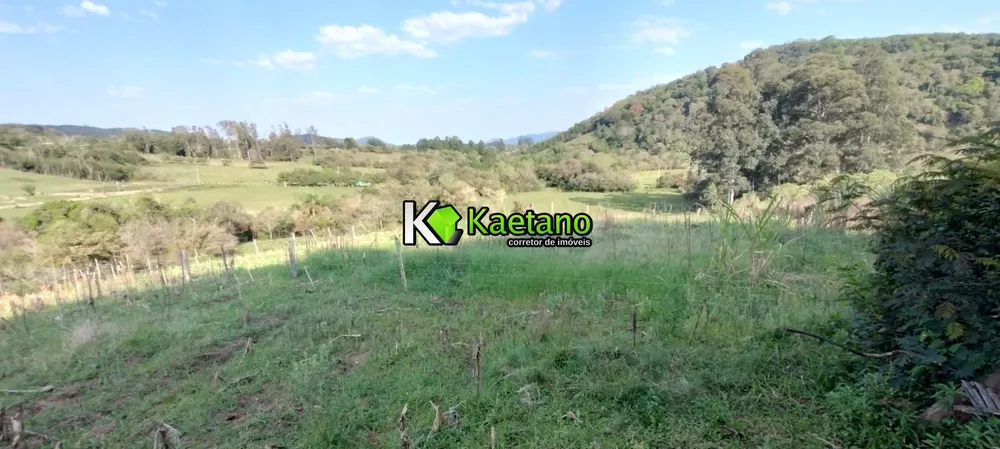 Terreno, 5 hectares - Foto 13