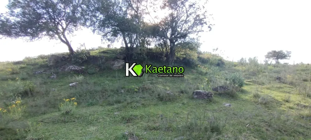 Terreno, 5 hectares - Foto 14