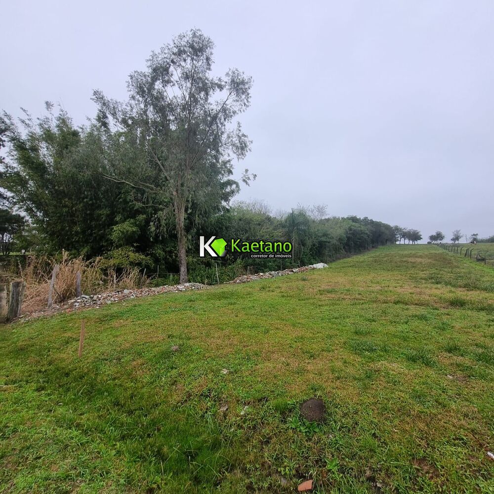 Terreno, 4506 m² - Foto 3
