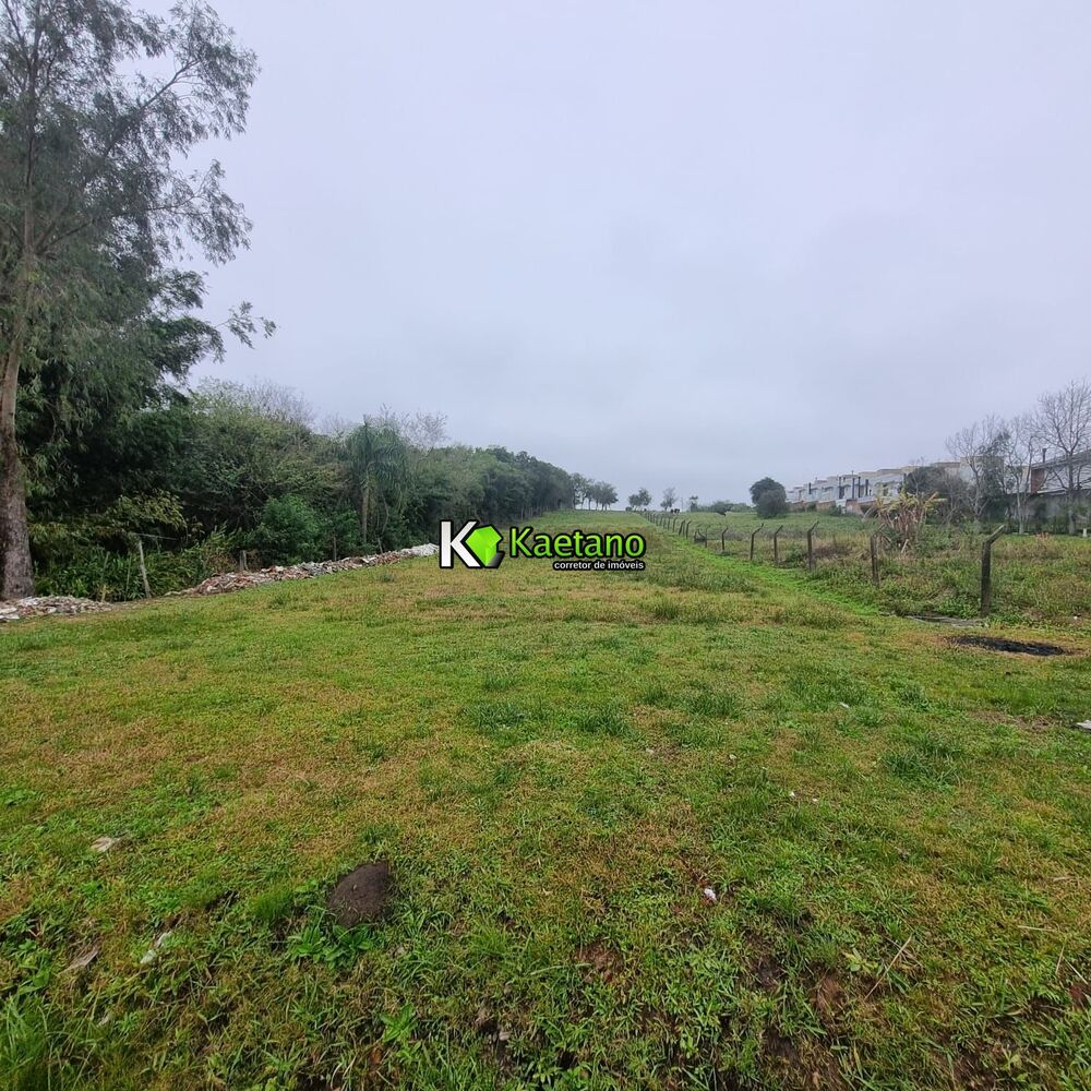 Terreno, 4506 m² - Foto 1