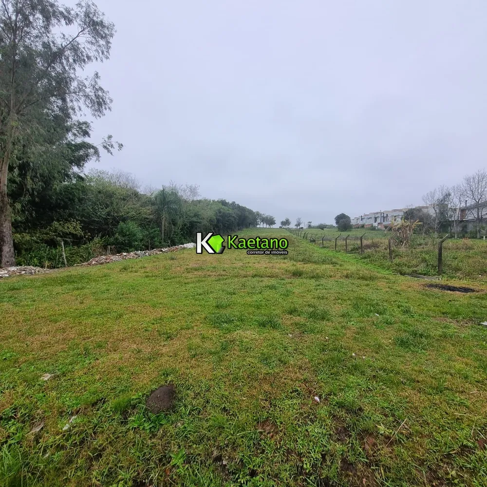 Terreno, 4506 m² - Foto 6