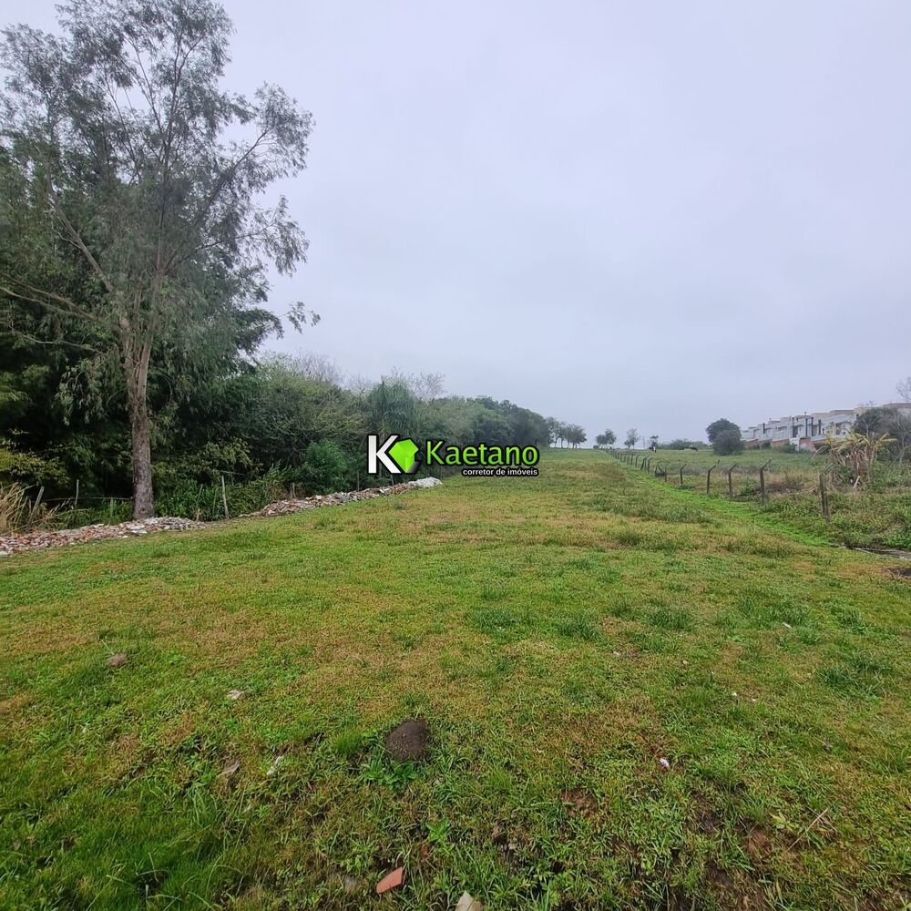 Terreno, 4506 m² - Foto 2