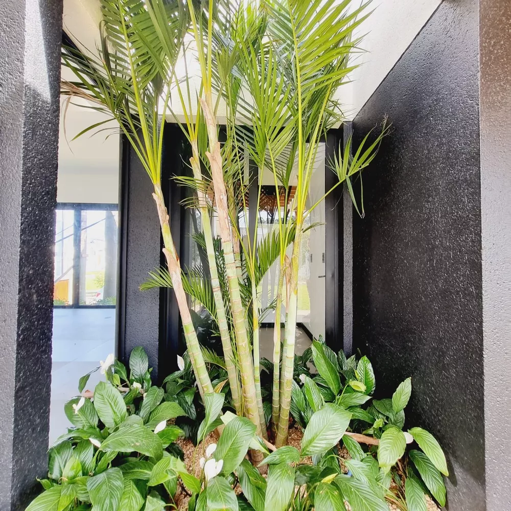 Casa, 3 quartos, 195 m² - Foto 3