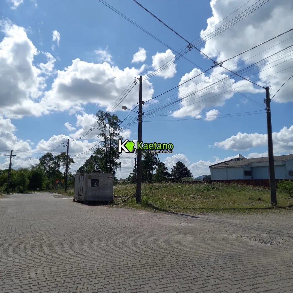 Terreno, 439 m² - Foto 6