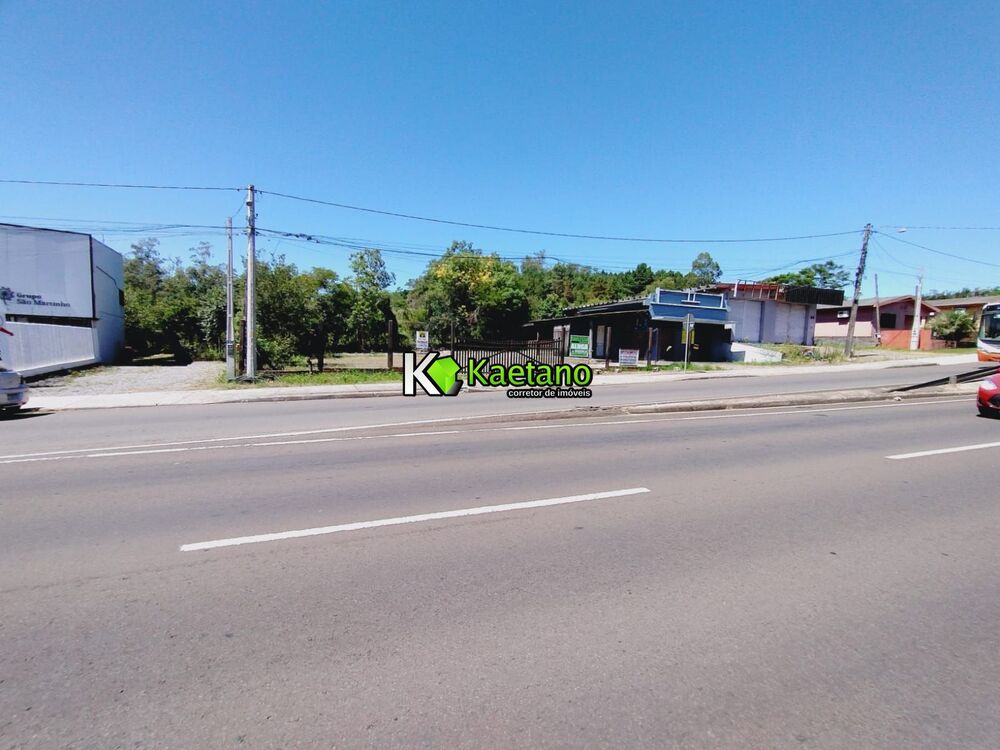 Terreno, 2900 m² - Foto 4