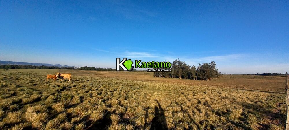 Fazenda à venda com 6 quartos, 660m² - Foto 4