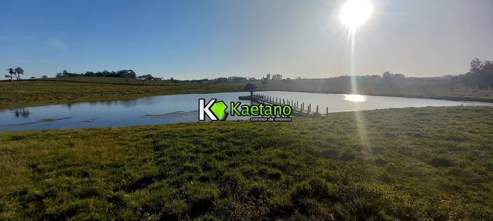 Fazenda, 73 hectares - Foto 8
