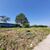 Terreno, 318 m² - Foto 3