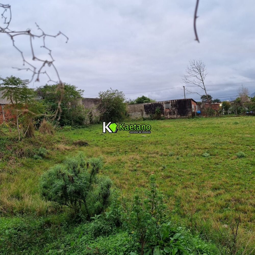 Terreno, 546 m² - Foto 4