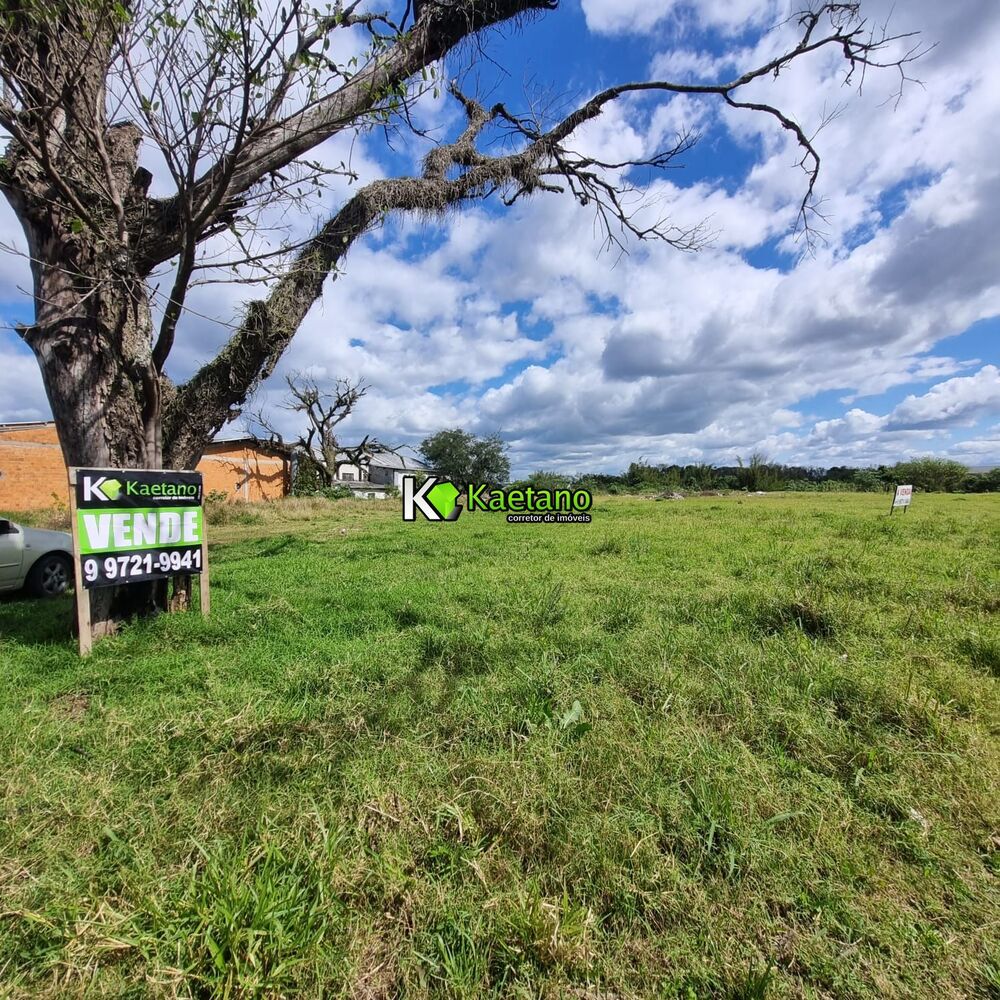 Terreno, 1 hectares - Foto 3