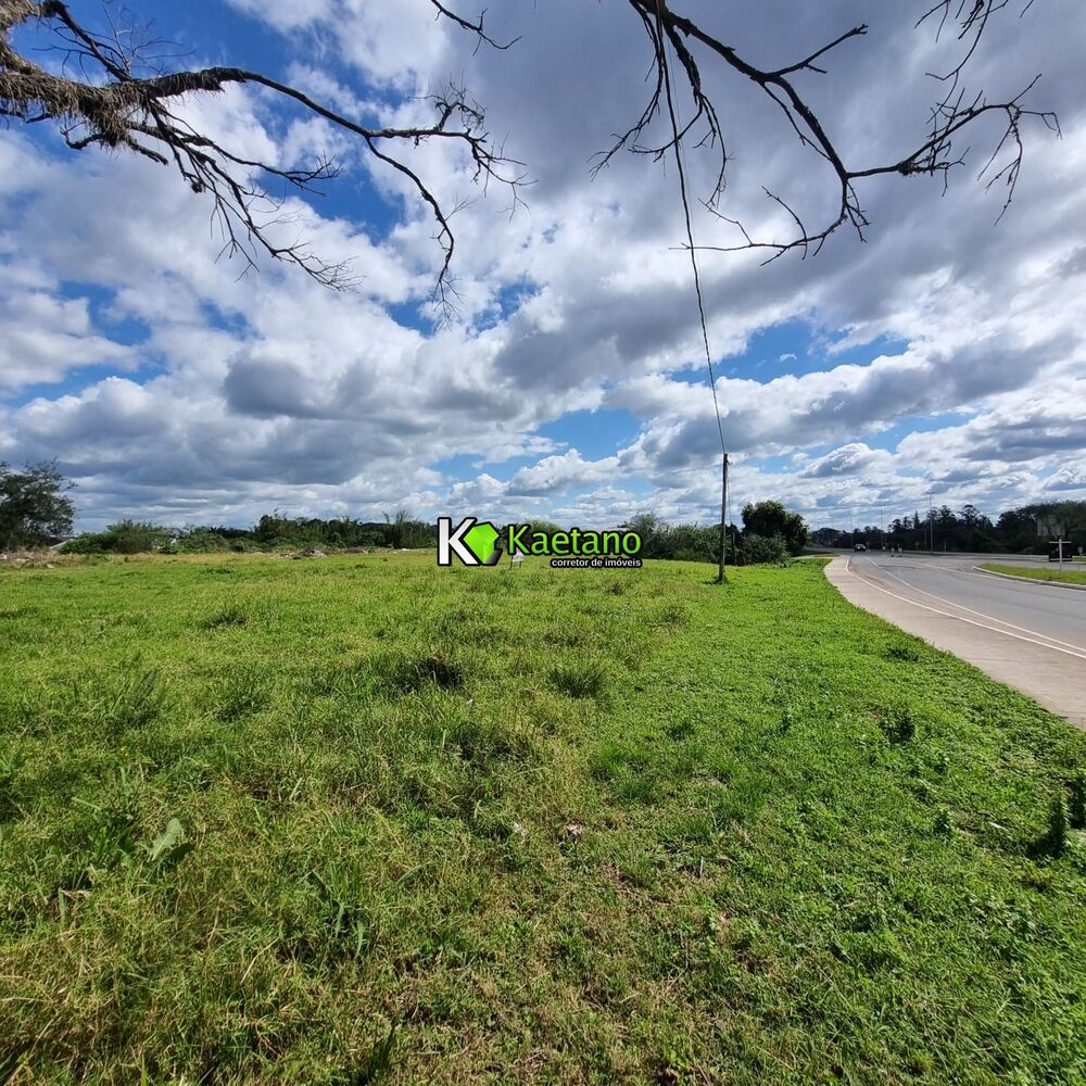 Terreno, 1 hectares - Foto 2