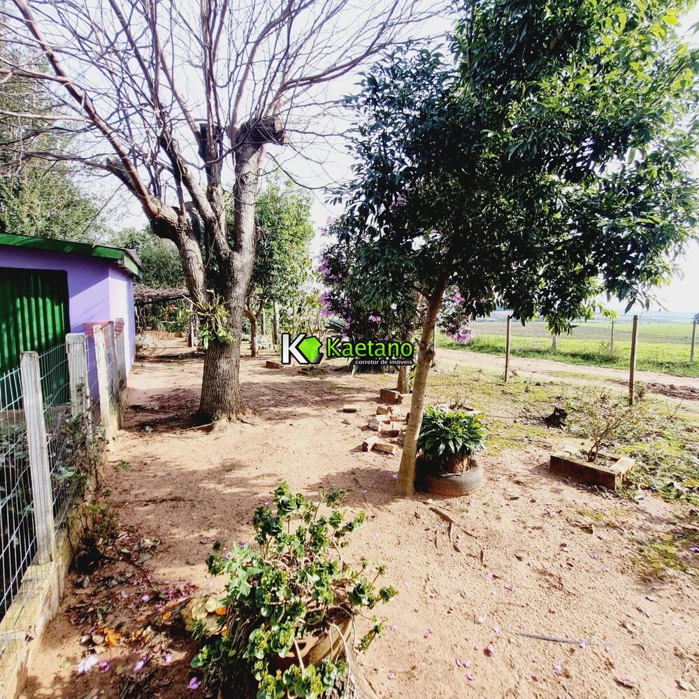 Chácara, 3 quartos, 2 hectares - Foto 4