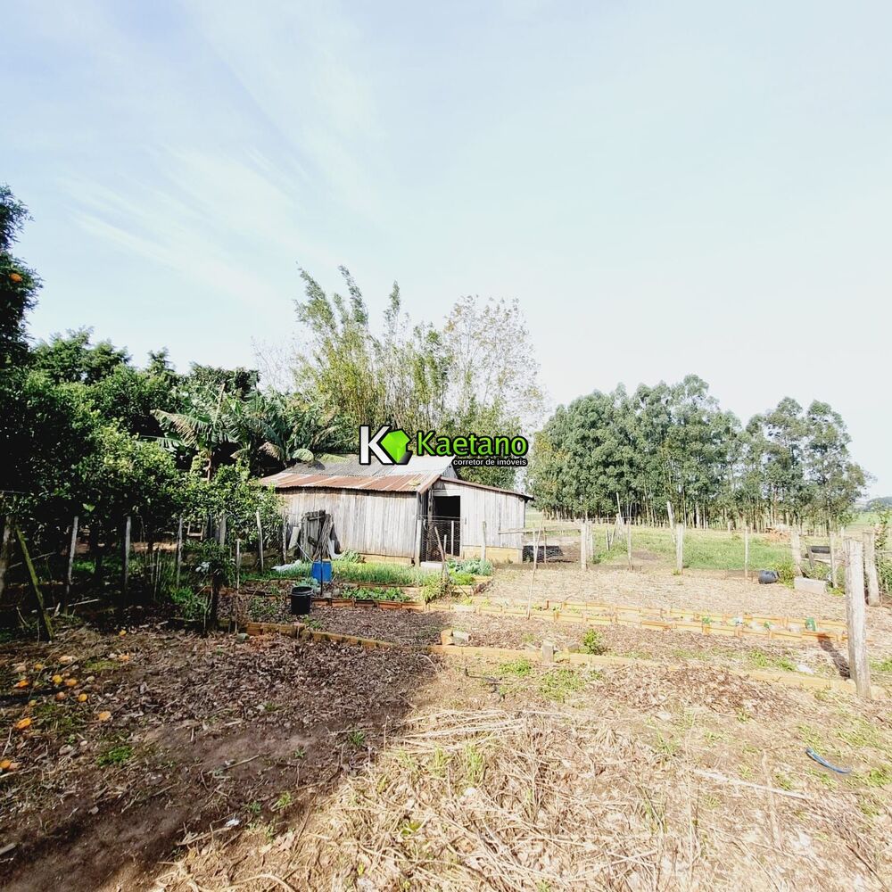 Chácara, 3 quartos, 2 hectares - Foto 2