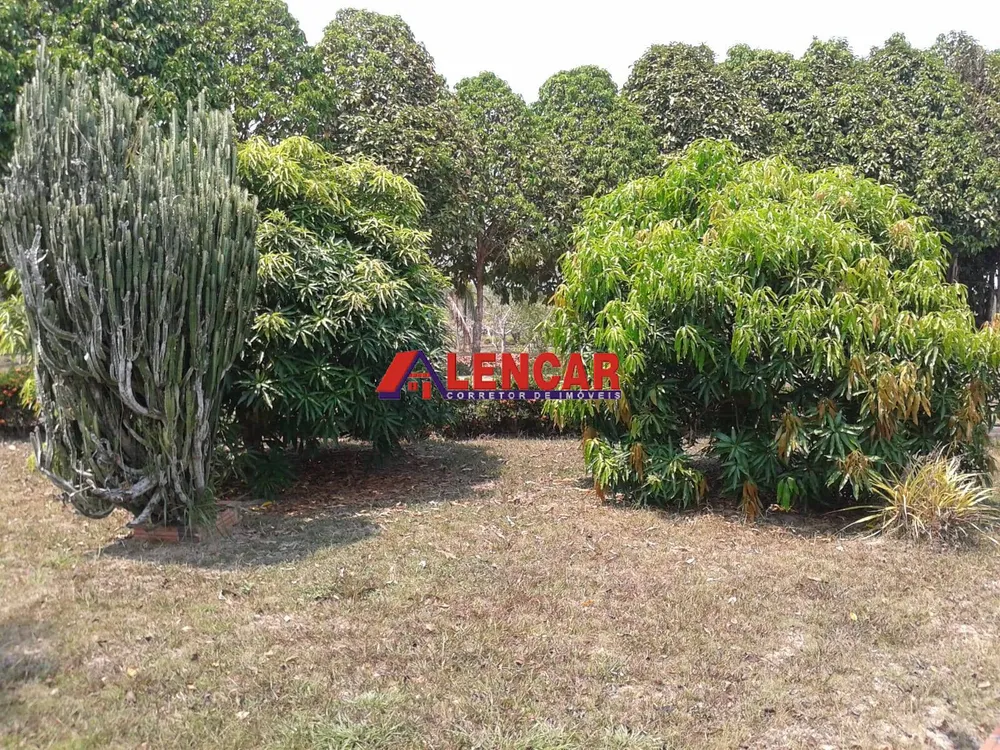 Fazenda, 390 hectares - Foto 15