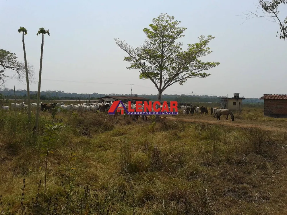 Fazenda, 390 hectares - Foto 10