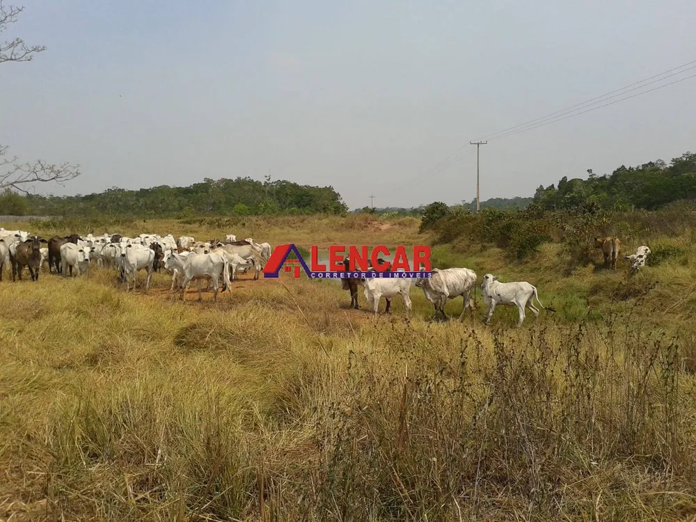 Fazenda, 390 hectares - Foto 19