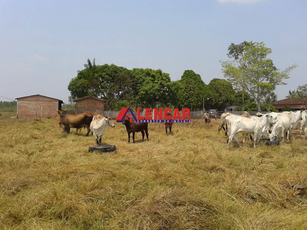 Fazenda, 390 hectares - Foto 20