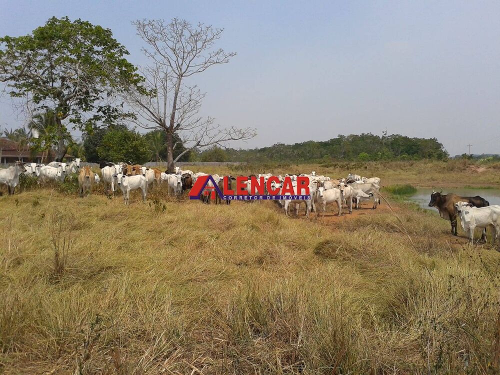 Fazenda à venda com 3 quartos, 3900000m² - Foto 2