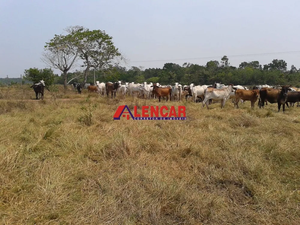 Fazenda, 390 hectares - Foto 16