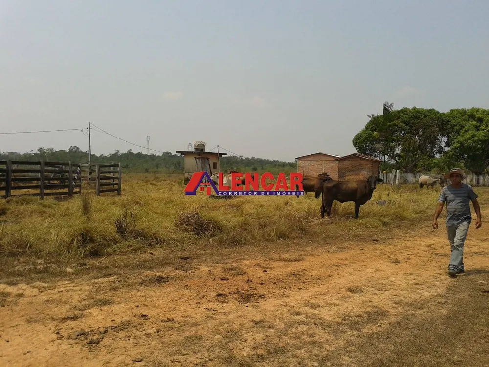 Fazenda, 390 hectares - Foto 12