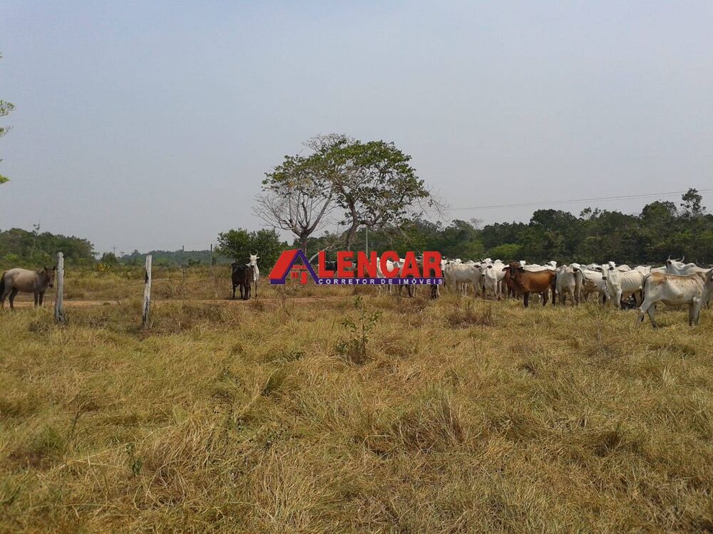 Fazenda à venda com 3 quartos, 3900000m² - Foto 3