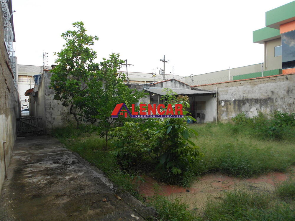 Casa, 3 quartos, 350 m² - Foto 2