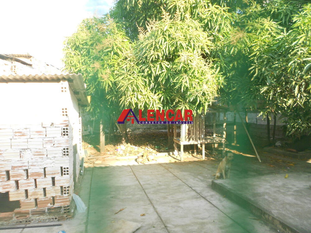 Casa, 3 quartos, 500 m² - Foto 3