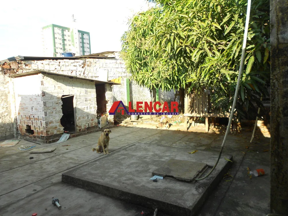 Casa, 3 quartos, 500 m² - Foto 16
