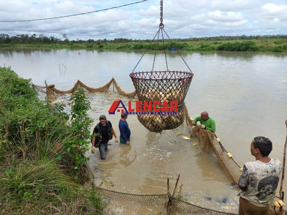 Terreno, 819 hectares - Foto 8